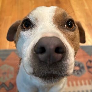 Meet your Posher, Catherine